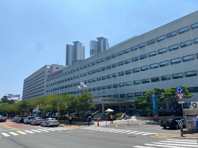 울산대병원.png
